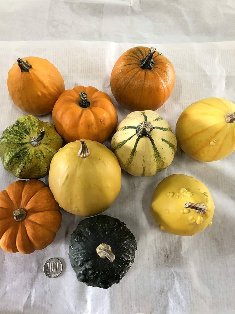 【工作などににも！】おもちゃかぼちゃ90個セット　ハロウィン ハロウィン用おもちゃかぼちゃ：ミックス 20個セット の通販